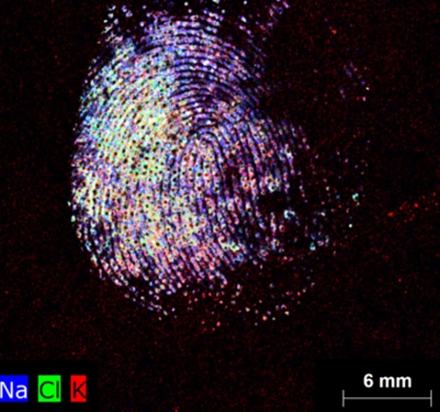 Forensic1