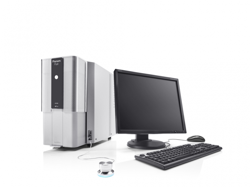 Poza Phenom Pure 1